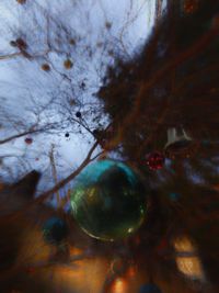 Close-up of water drops on tree against sky