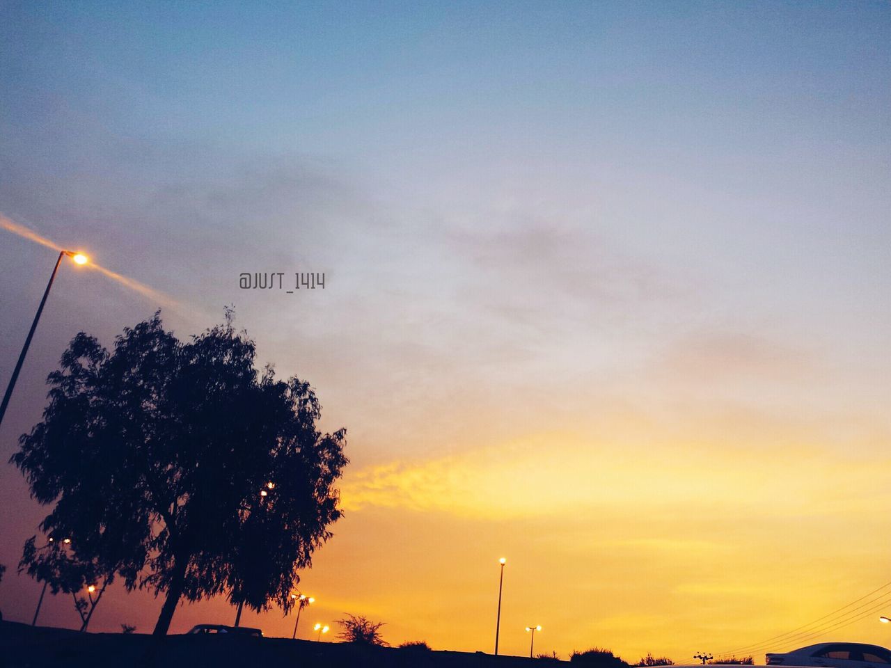 sunset, tree, silhouette, sky, communication, street light, low angle view, scenics, tranquility, illuminated, beauty in nature, dusk, nature, tranquil scene, lighting equipment, outdoors, text, cloud - sky, road sign, orange color