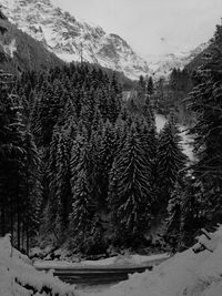 View of snow covered landscape