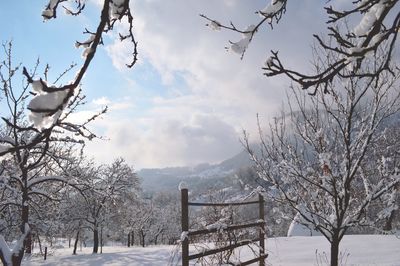 Snow covered landscape against sky