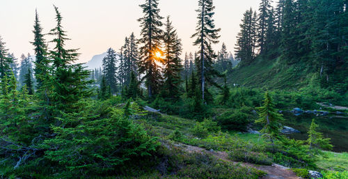 Sunrise at the high green alpine lake on a summer day