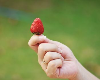 Cropped hand holding strawberry