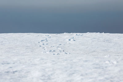 Footprints on snow covered landscape
