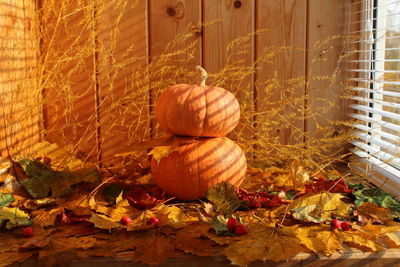 Close-up of pumpkin on dry leaves