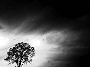 Low angle view of trees against cloudy sky