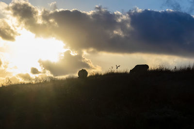 Scenic view of silhouette field against sky during sunset
