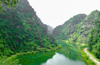 Scenic view of river amidst trees against sky