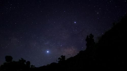 Low angle view of silhouette trees against sky at night