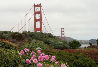 View of suspension bridge against cloudy sky