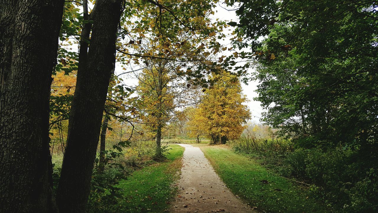 Slate Run Metro Park