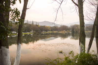 Reflection of trees in lake against sky