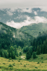 Scenic view of mountains in summer