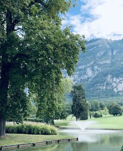 Trees by lake against sky