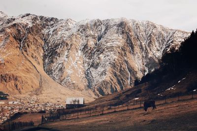 Cow grazing on field against mountain