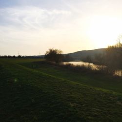 Scenic view of grassy field against sky at sunset