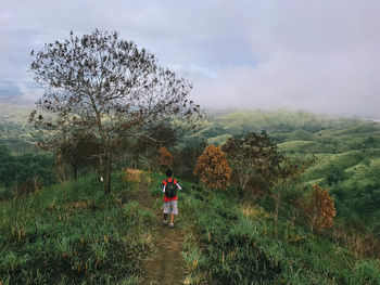 Rear view of person walking on land