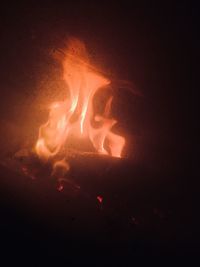 Close-up of bonfire at night