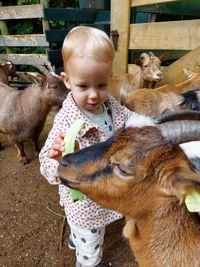 Baby and goat