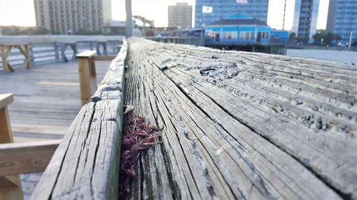 Close-up of wood with city in background