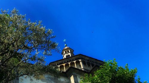 Low angle view of trees and building against blue sky