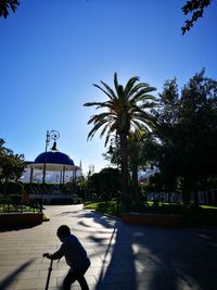 Palm trees in front of built structure against clear sky
