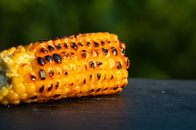 Close-up of corn on table