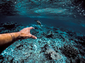 Cropped hand of man gesturing undersea