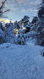 winter