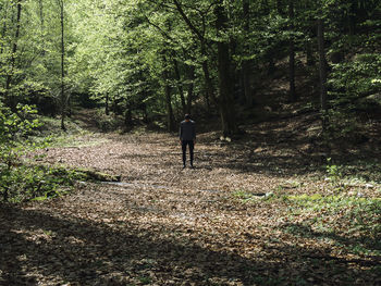 Full length of man standing in forest