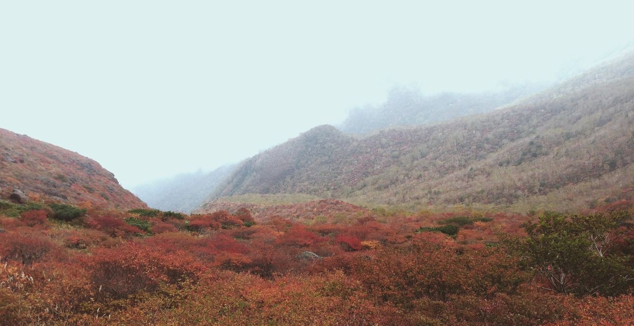 mountain, tranquil scene, tranquility, scenics, beauty in nature, landscape, clear sky, nature, mountain range, non-urban scene, tree, idyllic, remote, growth, copy space, sky, foggy, day, weather