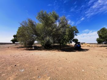 Trees on field against sky