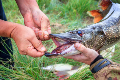 Midsection of person holding fish