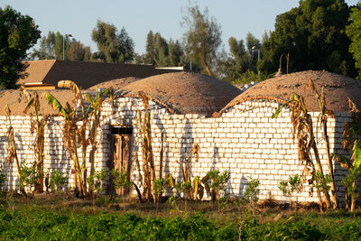 Domed mud roof on white house. bananas.