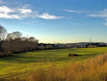 Scenic view of field against sky