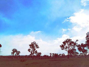 Trees on landscape against sky