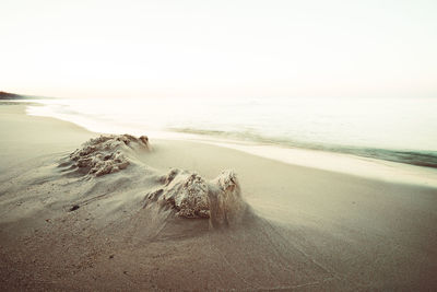 Driftwood on beach against clear sky