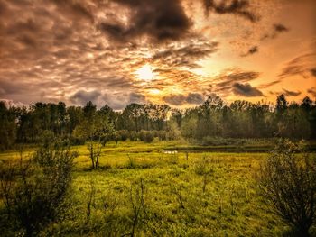 Scenic view of field against sky at sunset