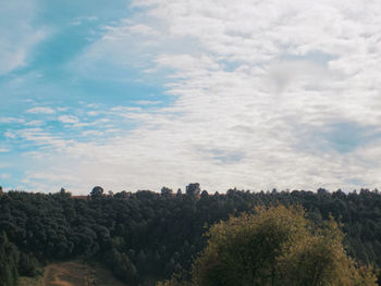 Panoramic view of trees against sky