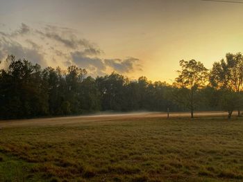 Trees on field against sky during sunset