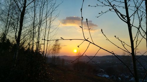 Scenic view of sunset over sea