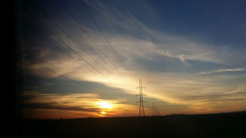 Silhouette of birds at sunset