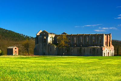 View of grassy field against blue sky