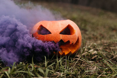 Close-up of pumpkin on field with purple smoke halloween 