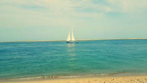 Sailboat sailing in sea