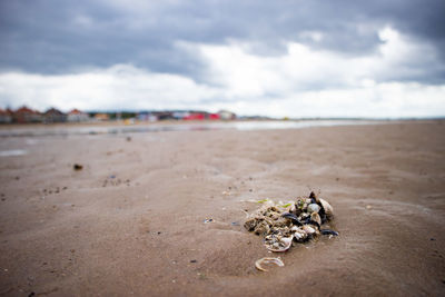 Close-up of sand on beach against sky