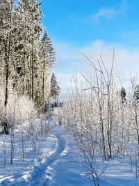 Bare tree on snow covered field against sky during winter