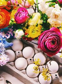 High angle view of multi colored roses on plant