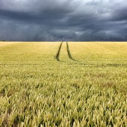 Scenic view of field against cloudy sky