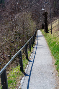 Empty footpath amidst trees in forest