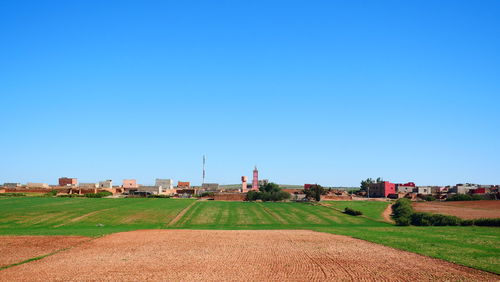 Scenic view of field against clear blue sky